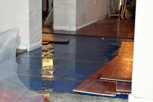 Professional Water Damage Restoration technician working in Mantua, UT